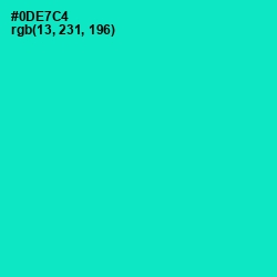 #0DE7C4 - Bright Turquoise Color Image