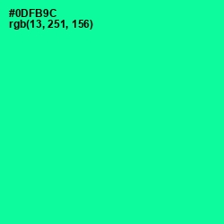 #0DFB9C - Caribbean Green Color Image