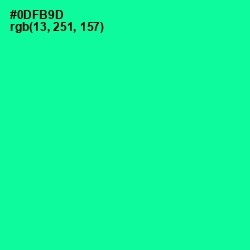 #0DFB9D - Caribbean Green Color Image