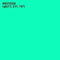 #0DFBBB - Caribbean Green Color Image