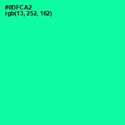 #0DFCA2 - Caribbean Green Color Image