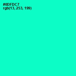#0DFDC7 - Bright Turquoise Color Image
