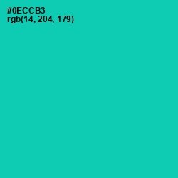 #0ECCB3 - Caribbean Green Color Image