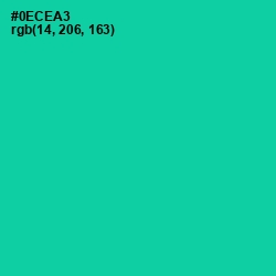 #0ECEA3 - Caribbean Green Color Image