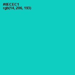 #0ECEC1 - Robin's Egg Blue Color Image