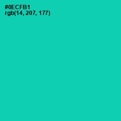 #0ECFB1 - Caribbean Green Color Image