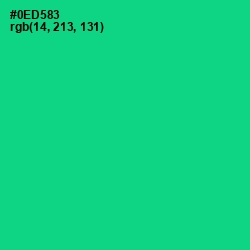 #0ED583 - Caribbean Green Color Image