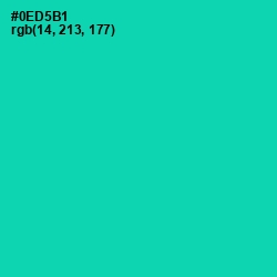 #0ED5B1 - Caribbean Green Color Image