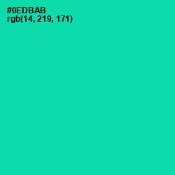 #0EDBAB - Caribbean Green Color Image