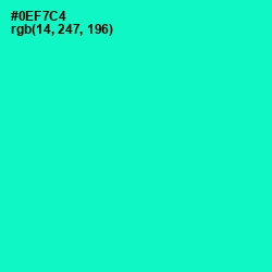 #0EF7C4 - Bright Turquoise Color Image