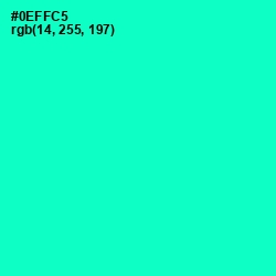 #0EFFC5 - Bright Turquoise Color Image