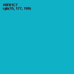 #0FB1C7 - Cerulean Color Image