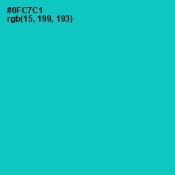 #0FC7C1 - Robin's Egg Blue Color Image