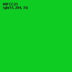 #0FCC23 - Green Color Image