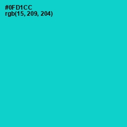 #0FD1CC - Robin's Egg Blue Color Image