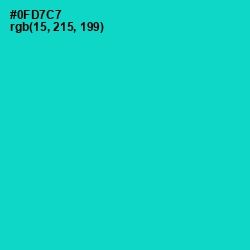 #0FD7C7 - Robin's Egg Blue Color Image