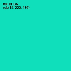 #0FDFBA - Caribbean Green Color Image