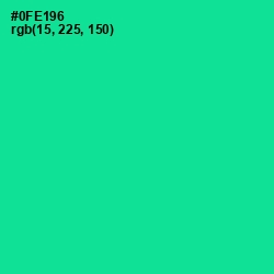 #0FE196 - Caribbean Green Color Image