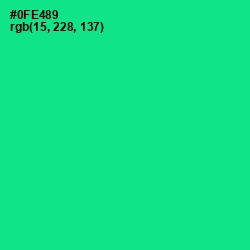 #0FE489 - Caribbean Green Color Image