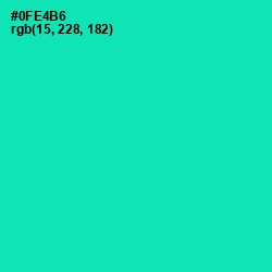 #0FE4B6 - Caribbean Green Color Image