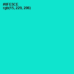 #0FE5CE - Bright Turquoise Color Image