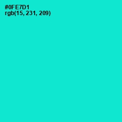 #0FE7D1 - Bright Turquoise Color Image