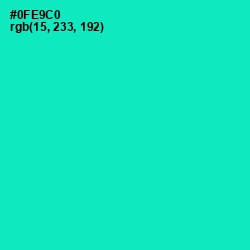 #0FE9C0 - Bright Turquoise Color Image