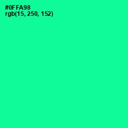 #0FFA98 - Caribbean Green Color Image