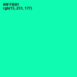 #0FFBB1 - Caribbean Green Color Image