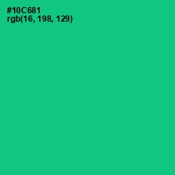 #10C681 - Caribbean Green Color Image