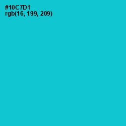 #10C7D1 - Robin's Egg Blue Color Image