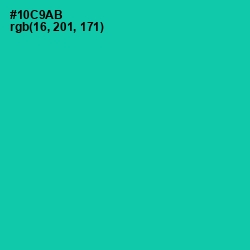 #10C9AB - Caribbean Green Color Image