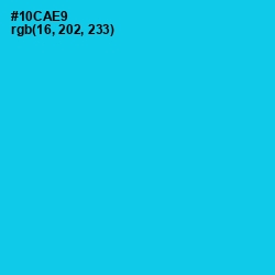 #10CAE9 - Bright Turquoise Color Image