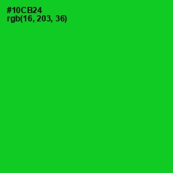 #10CB24 - Green Color Image