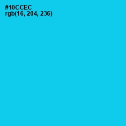 #10CCEC - Bright Turquoise Color Image