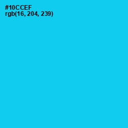 #10CCEF - Bright Turquoise Color Image