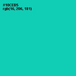 #10CEB5 - Caribbean Green Color Image