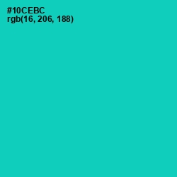 #10CEBC - Caribbean Green Color Image