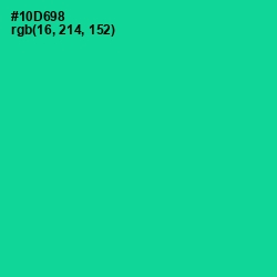 #10D698 - Caribbean Green Color Image