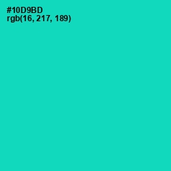 #10D9BD - Caribbean Green Color Image