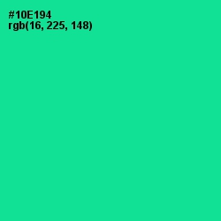 #10E194 - Caribbean Green Color Image