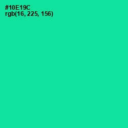 #10E19C - Caribbean Green Color Image