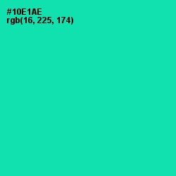 #10E1AE - Caribbean Green Color Image