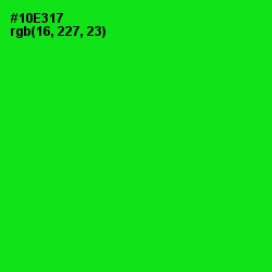 #10E317 - Green Color Image