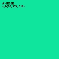 #10E59E - Caribbean Green Color Image