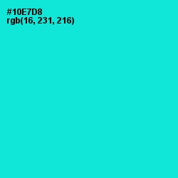 #10E7D8 - Bright Turquoise Color Image