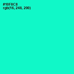 #10F8C8 - Bright Turquoise Color Image