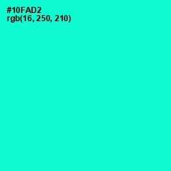 #10FAD2 - Bright Turquoise Color Image