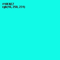 #10FAE7 - Cyan / Aqua Color Image