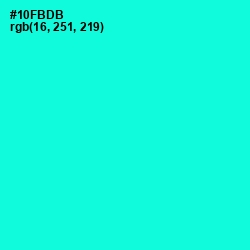 #10FBDB - Bright Turquoise Color Image